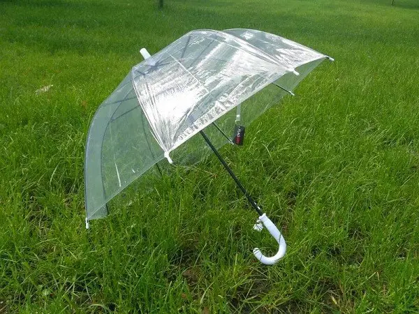 Cúpula guarda-chuva
