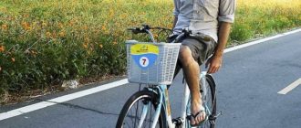 Como aprender a andar de bicicleta sem mãos: Conselhos