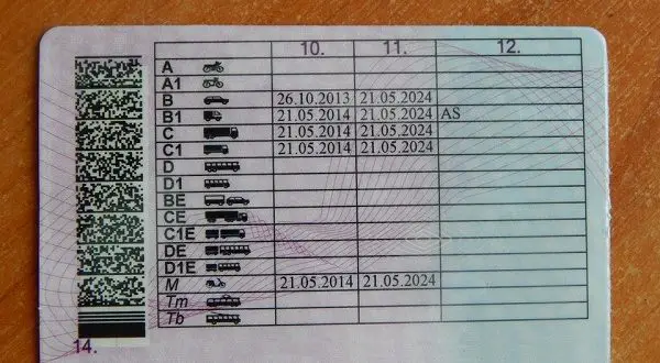 Precisa de uma licença para uma bicicleta eléctrica - registo obrigatório, dicas