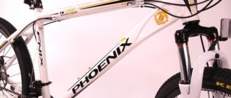 Phoenix bike - prós e contras, dicas de selecção