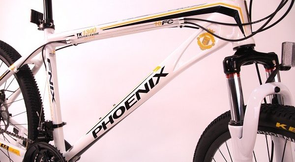 Phoenix bike - prós e contras, dicas de selecção