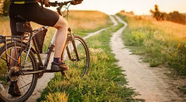 Bicicleta para a floresta e a cidade - qual a bicicleta a escolher