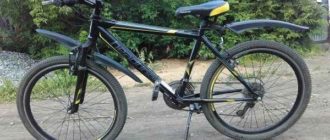 Bicicletas de forro de teto - as variantes e melhores modelos