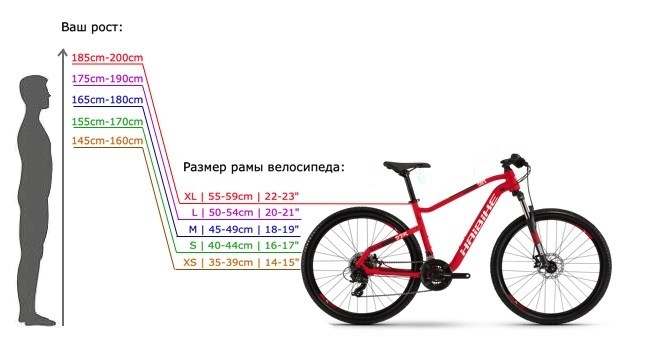 o tamanho do quadro da bicicleta por altura